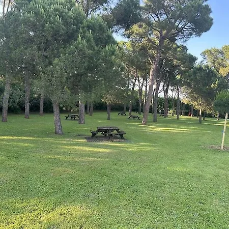 Lake Oasis With Pool Old *